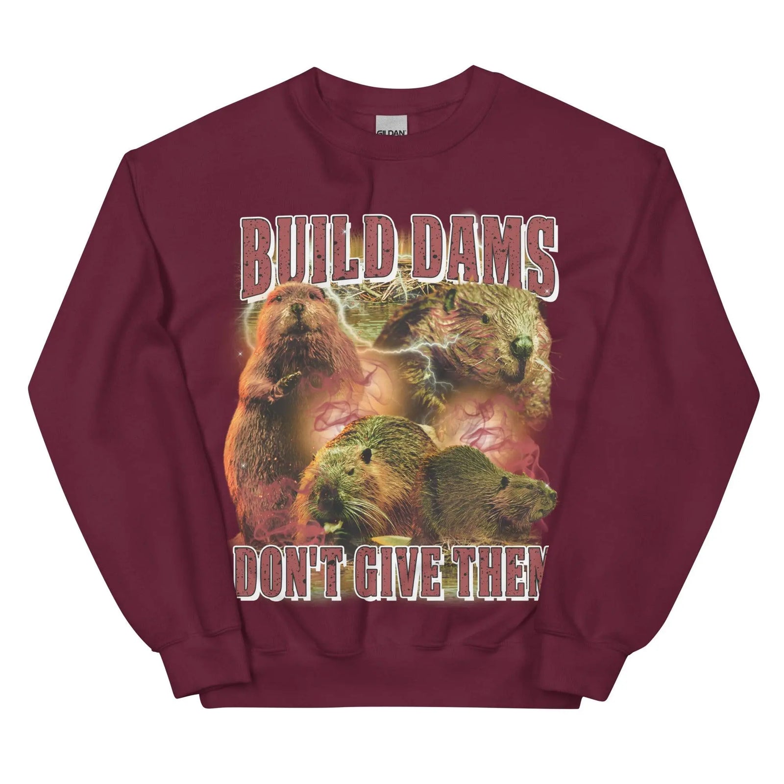 Build Dams Don't Give Them sweatshirt - Orbital Clothing
