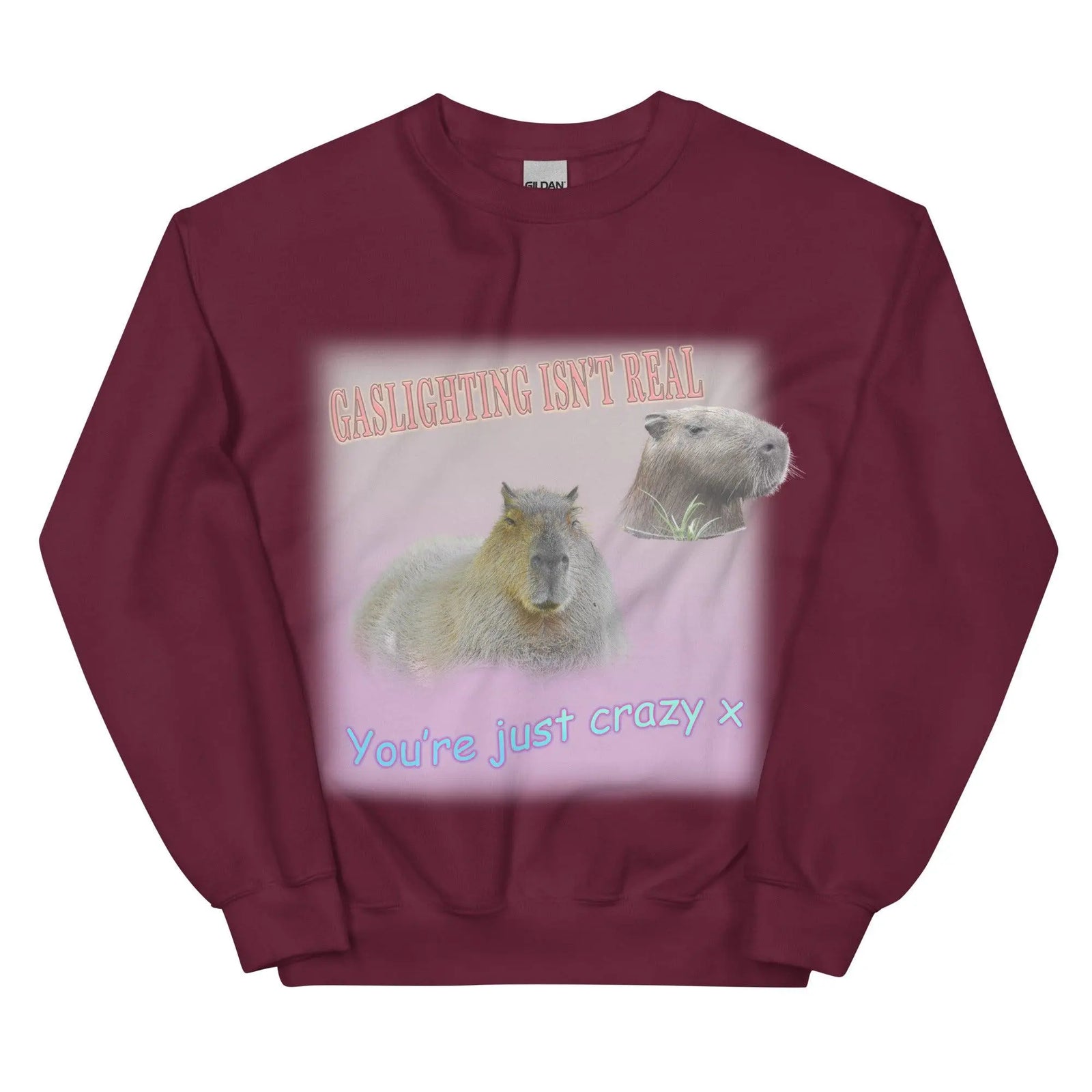 Gaslighting Isn't Real Sweatshirt - Orbital Clothing