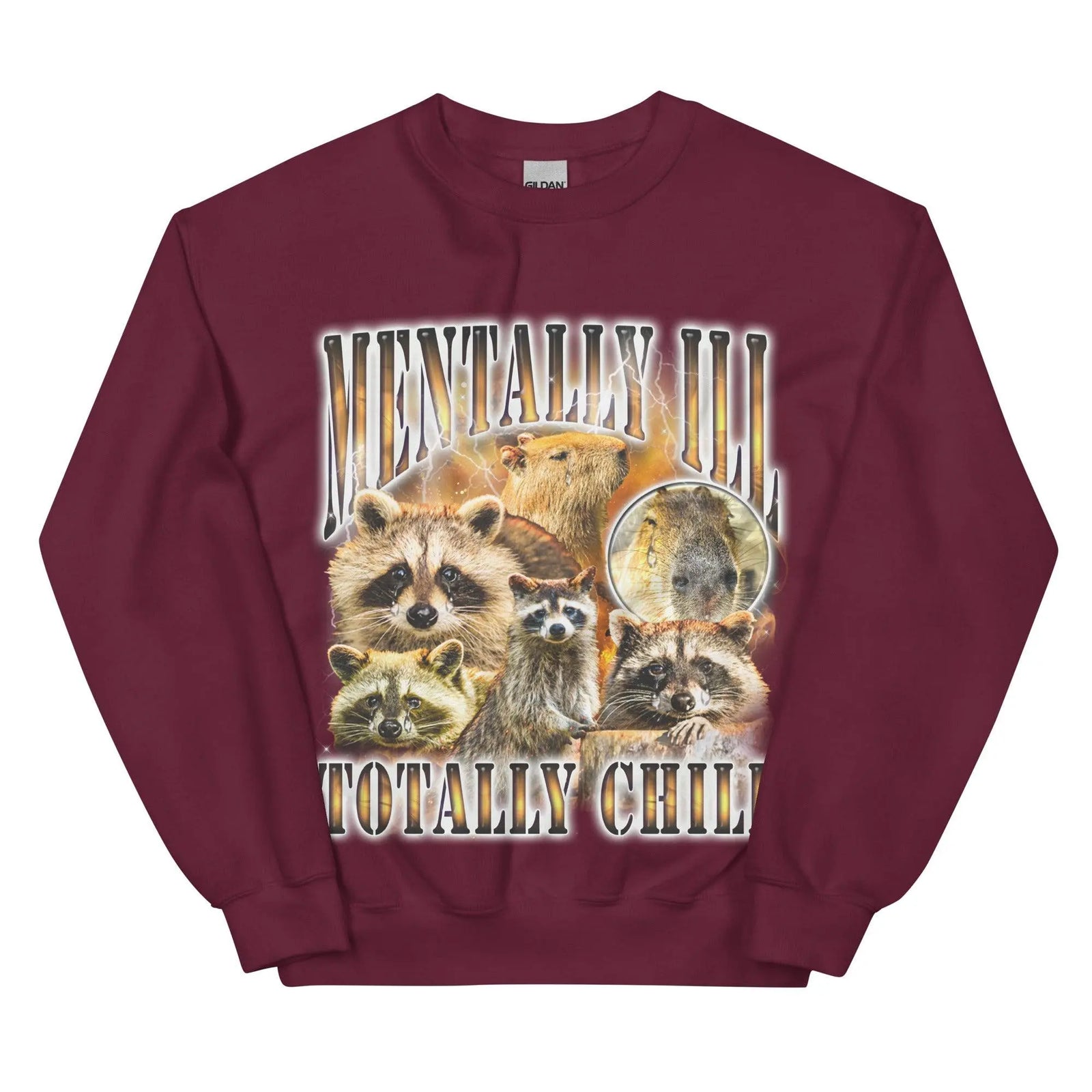 Mentally Ill Totally Chill Sweatshirt - Orbital Clothing