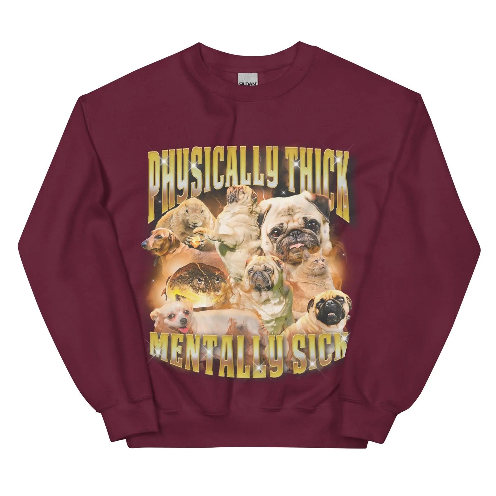 Physically Thick Mentally Sick Sweatshirt - Orbital Clothing