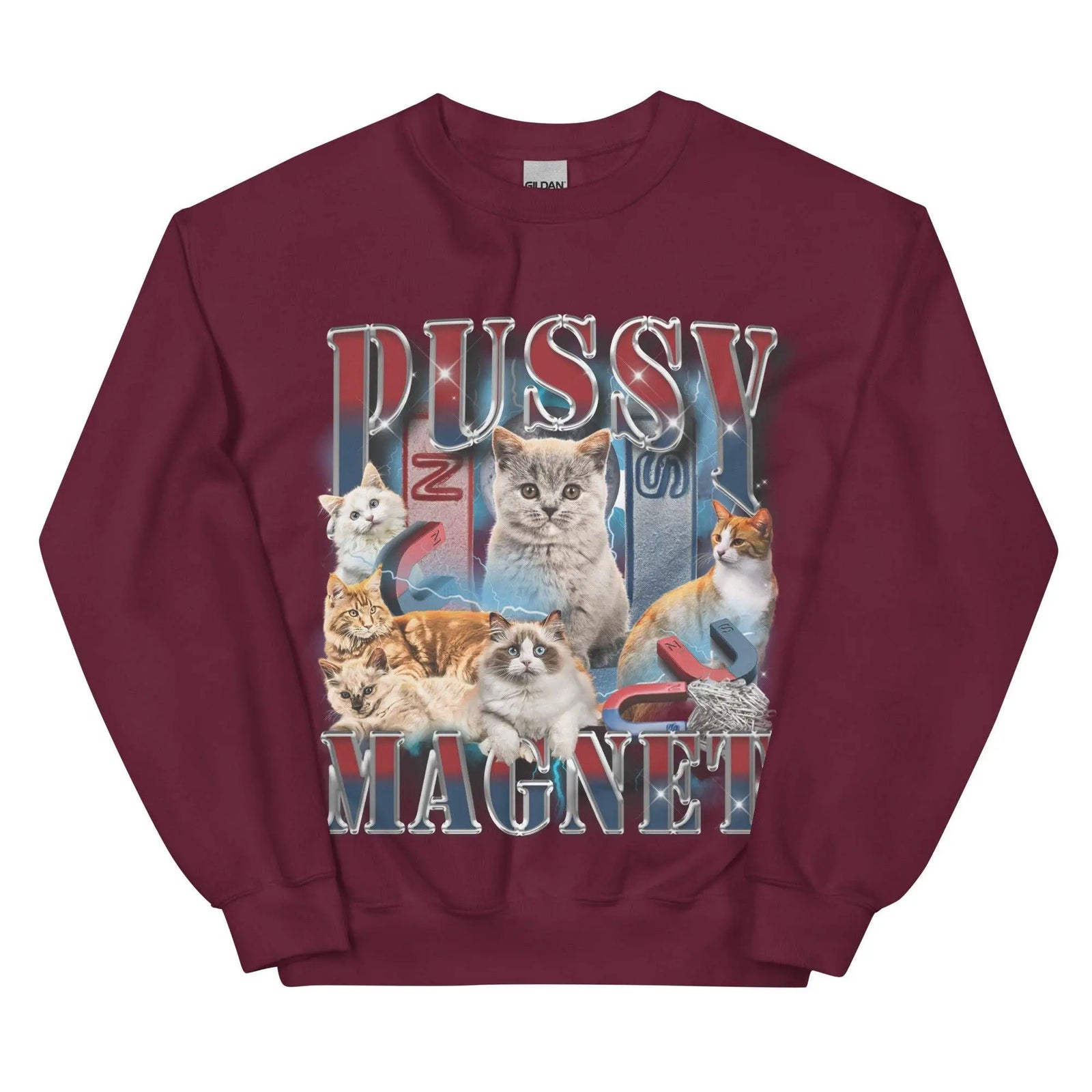 Pussy Magnet Sweatshirt - Orbital Clothing