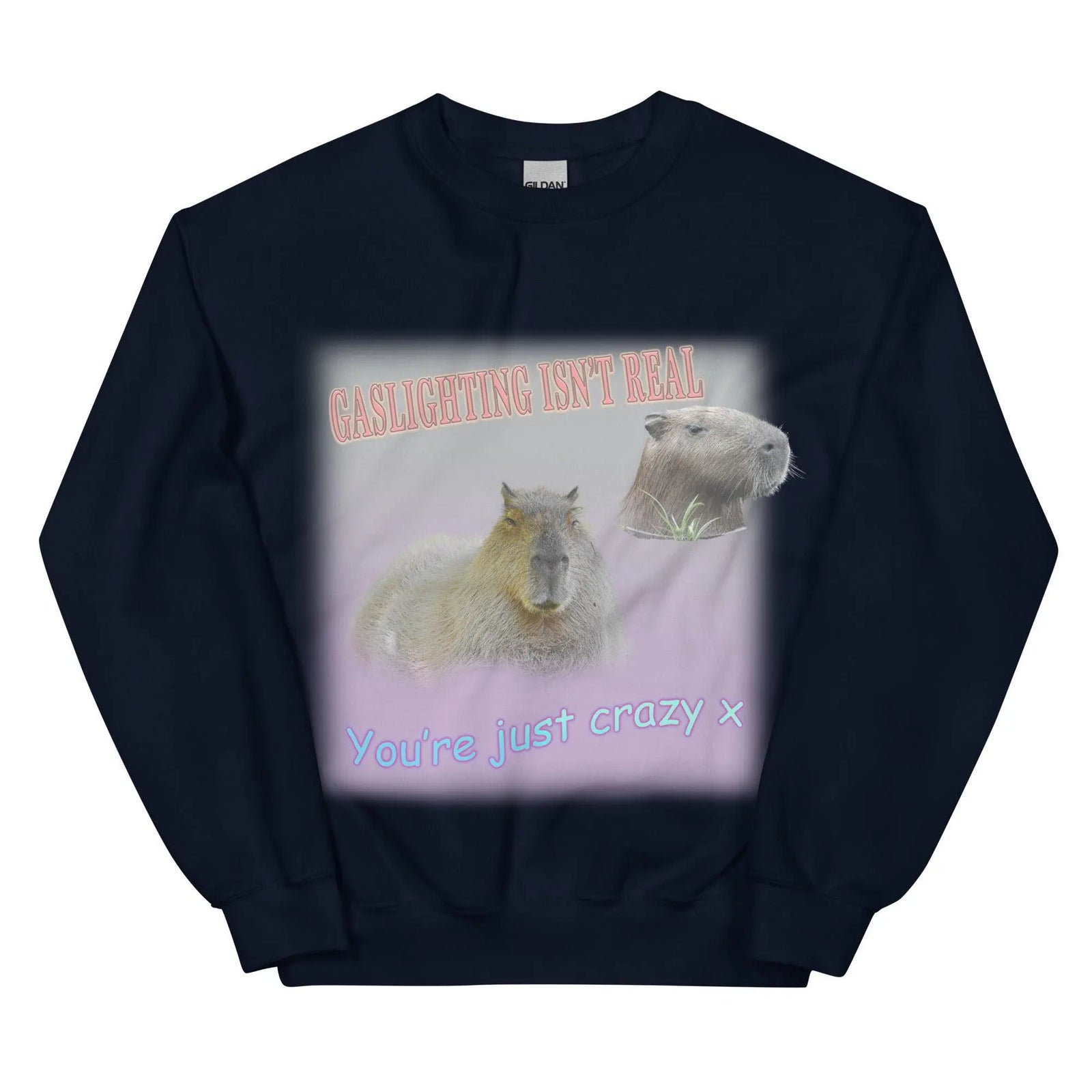 Gaslighting Isn't Real Sweatshirt - Orbital Clothing