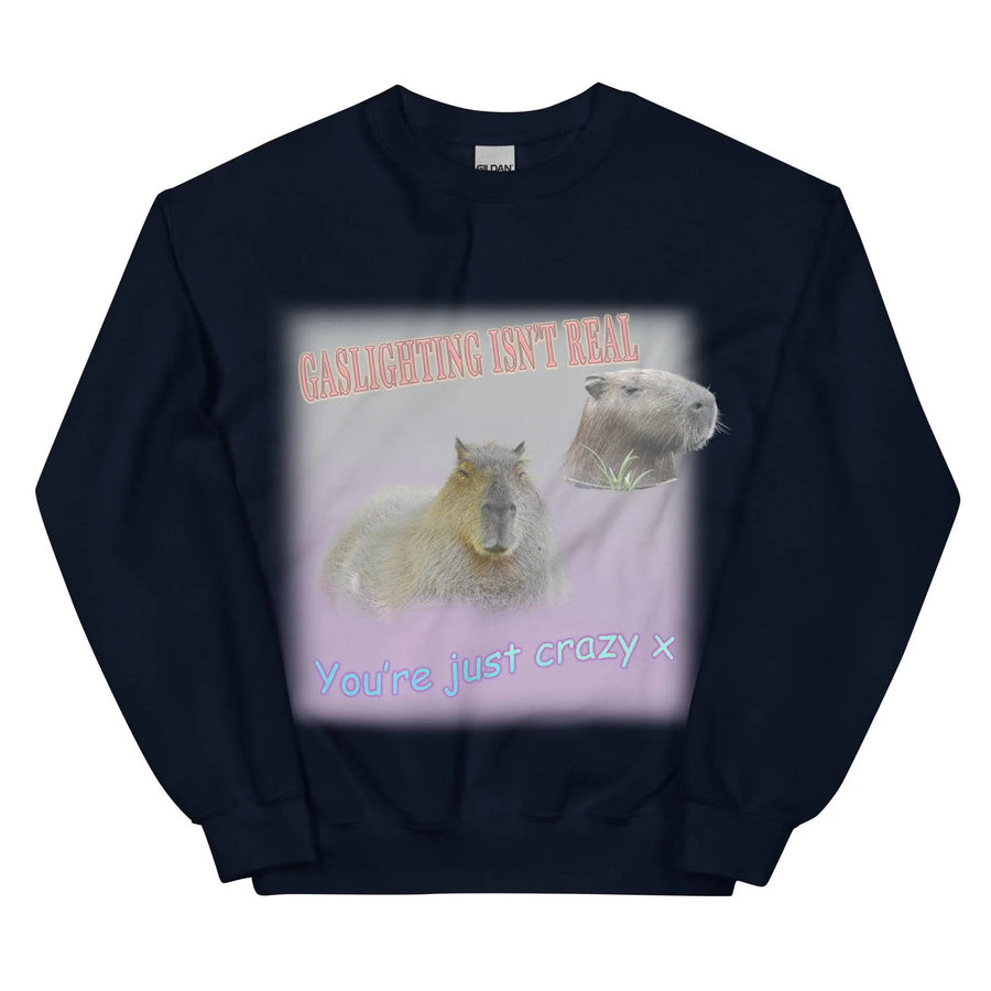 Gaslighting Isn't Real Sweatshirt - Orbital Clothing