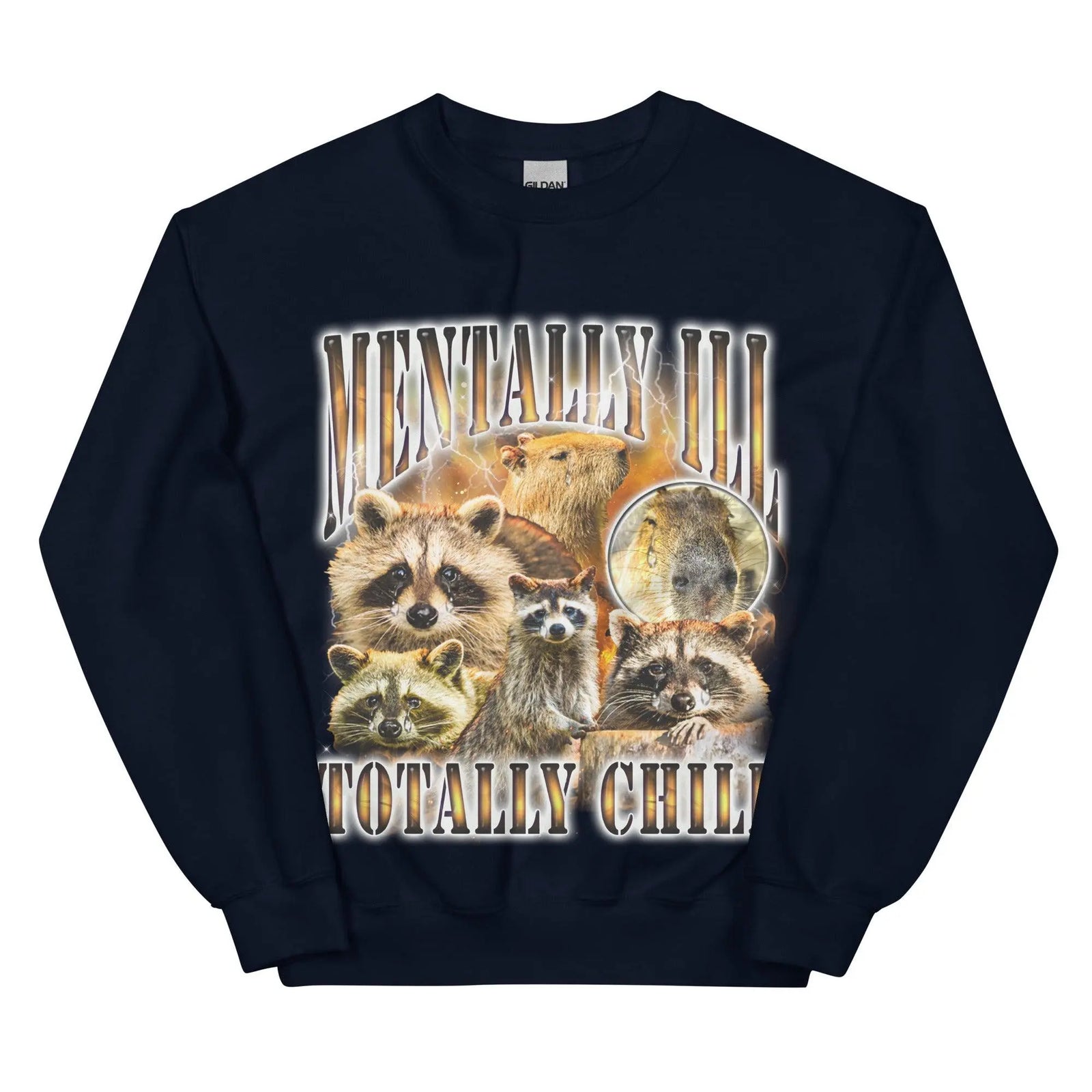 Mentally Ill Totally Chill Sweatshirt - Orbital Clothing