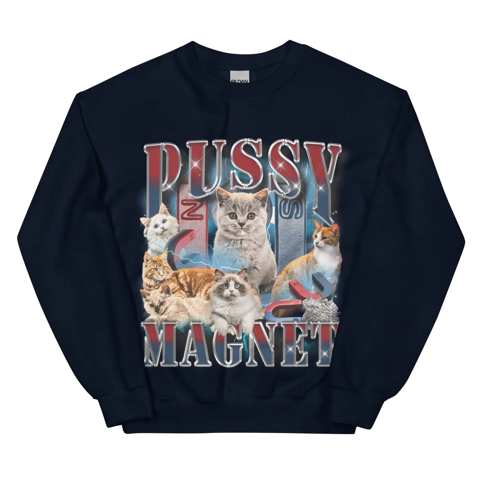 Pussy Magnet Sweatshirt - Orbital Clothing