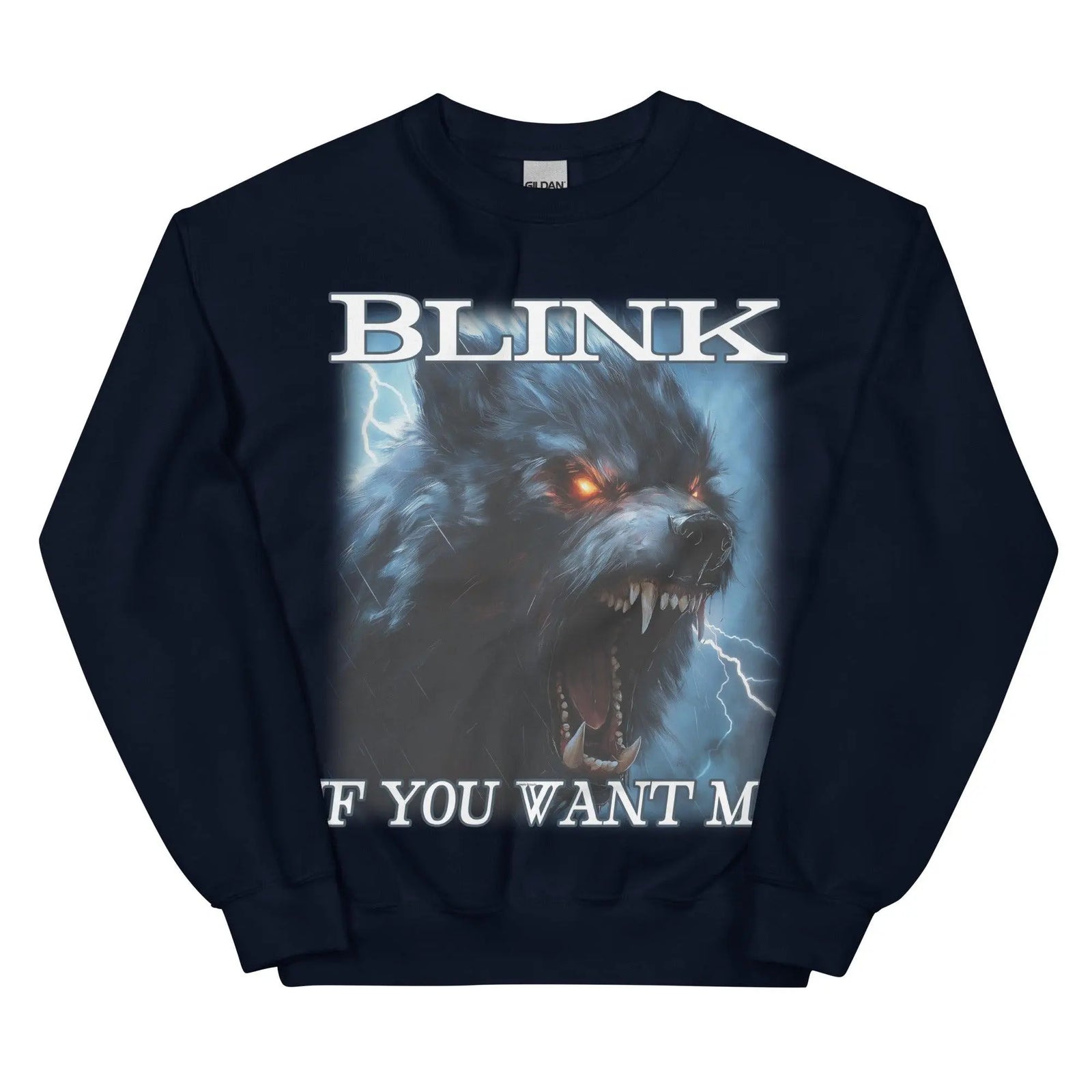 Blink If You Want Me Sweatshirt - Orbital Clothing