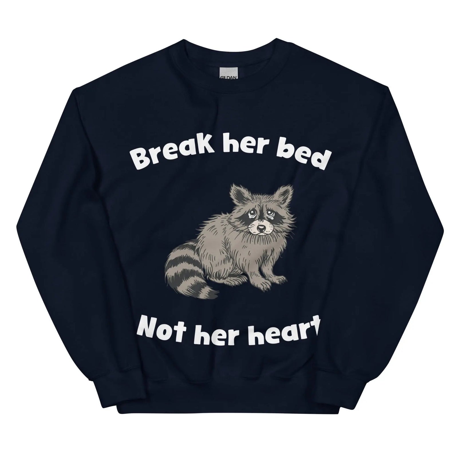 Break Her Bed Not Her Heart sweatshirt - Orbital Clothing