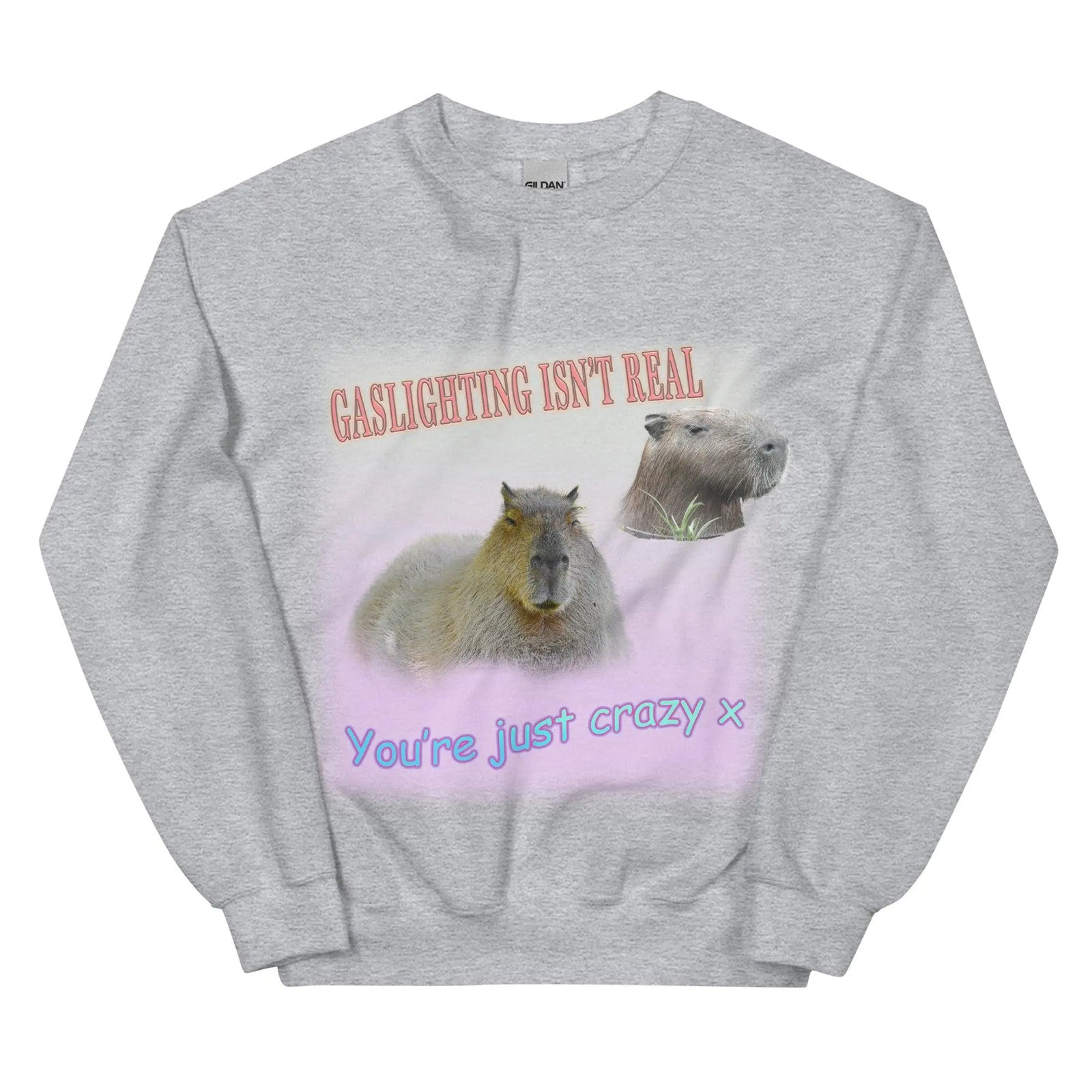 Gaslighting Isn't Real Sweatshirt - Orbital Clothing