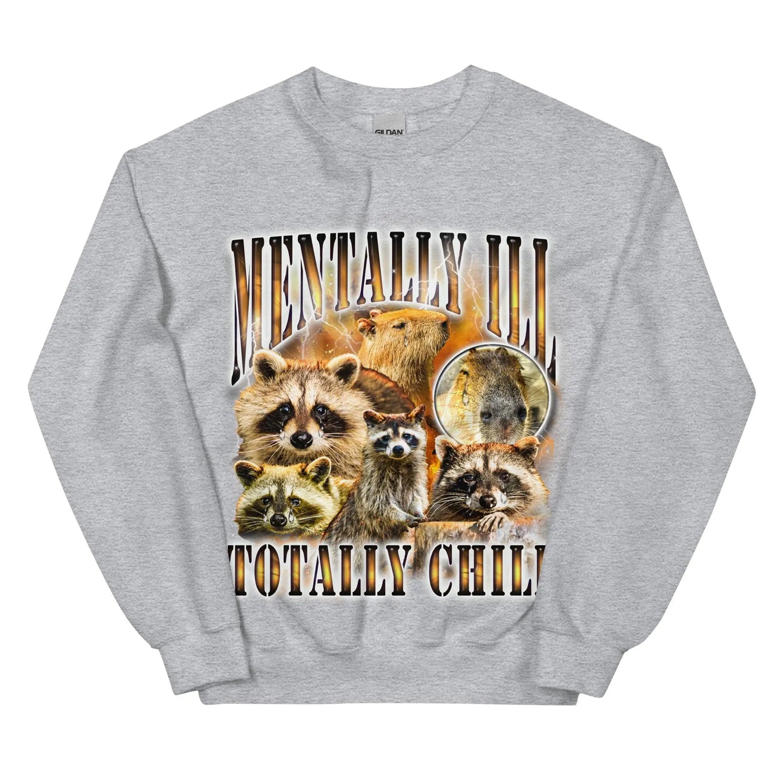 Mentally Ill Totally Chill Sweatshirt - Orbital Clothing