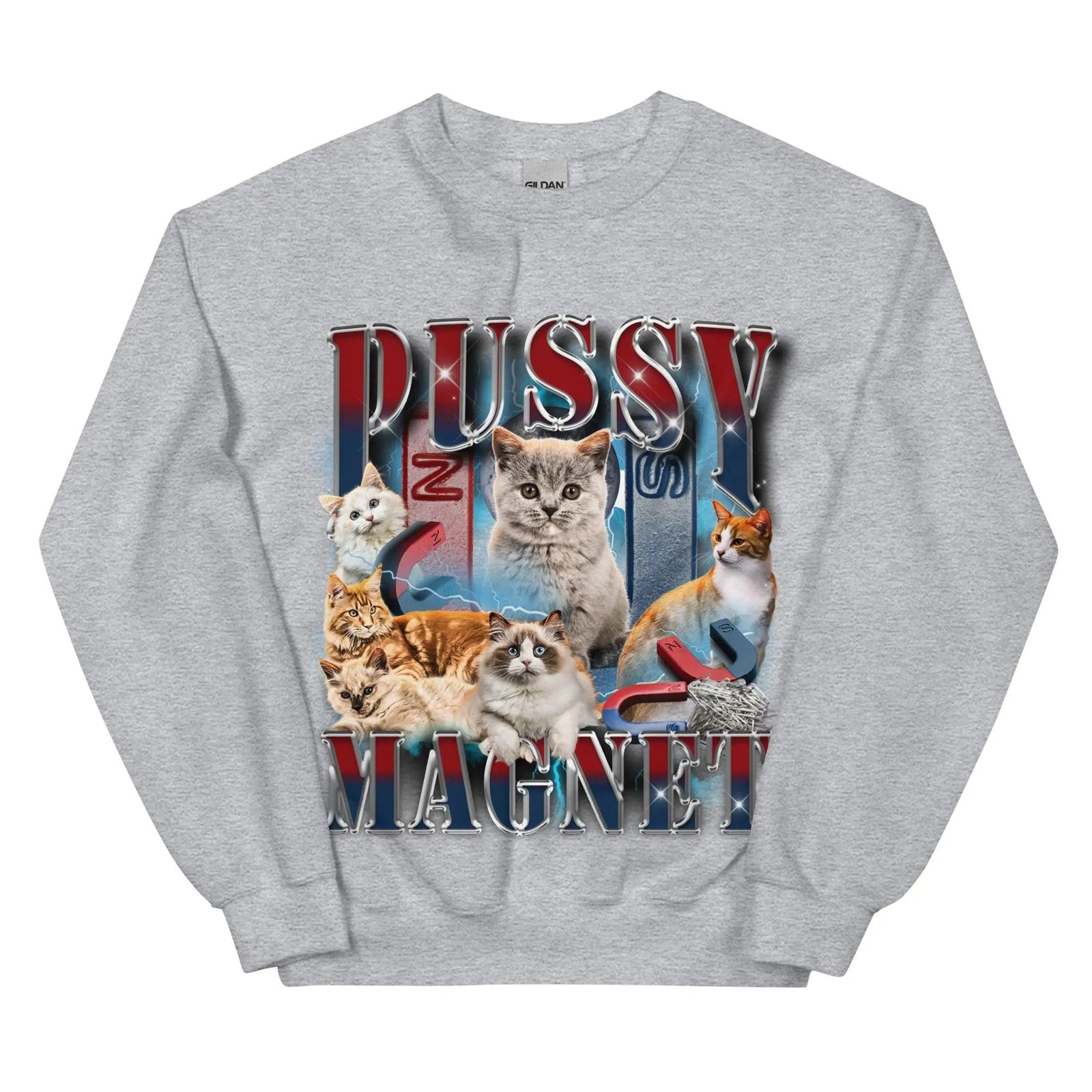 Pussy Magnet Sweatshirt - Orbital Clothing