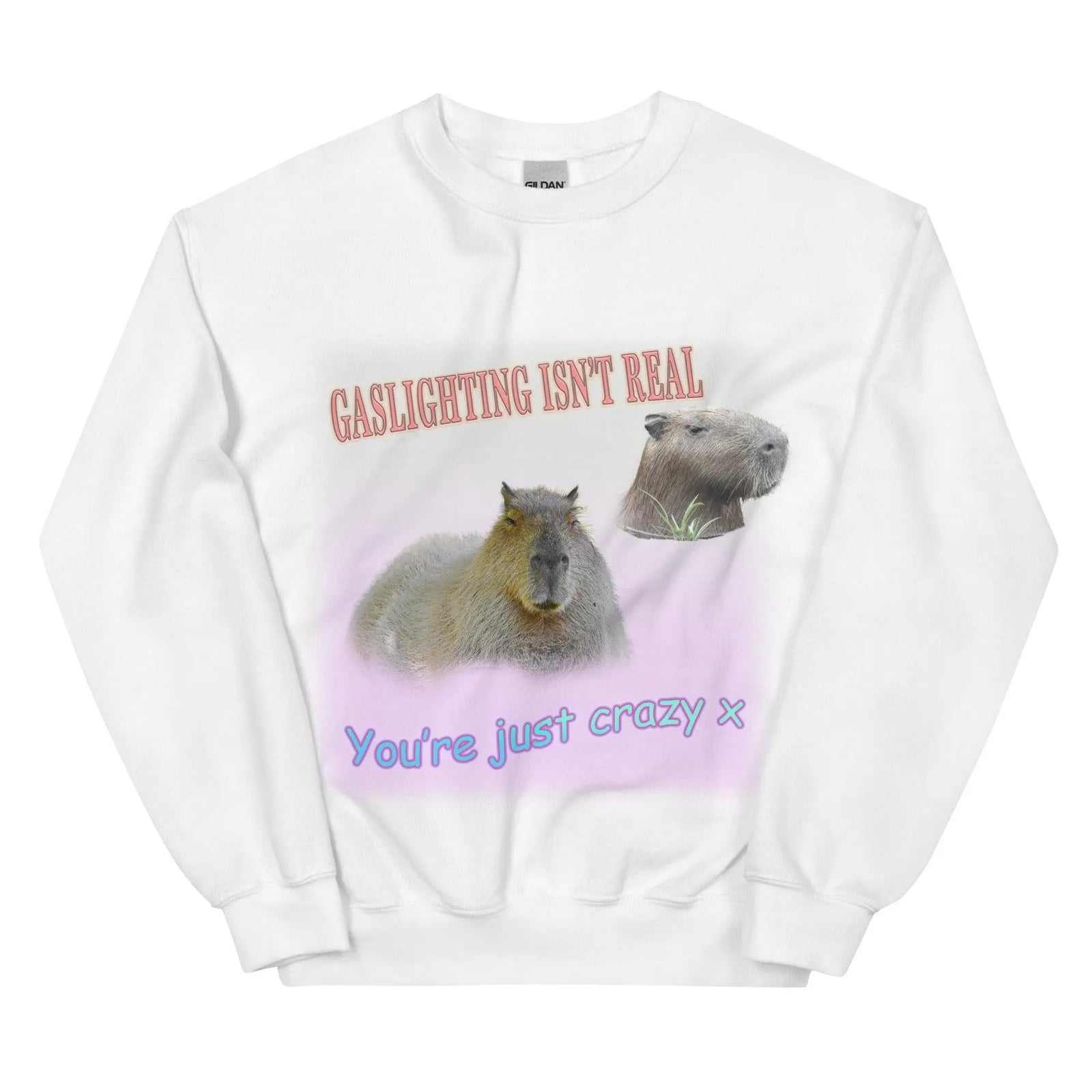 Gaslighting Isn't Real Sweatshirt - Orbital Clothing