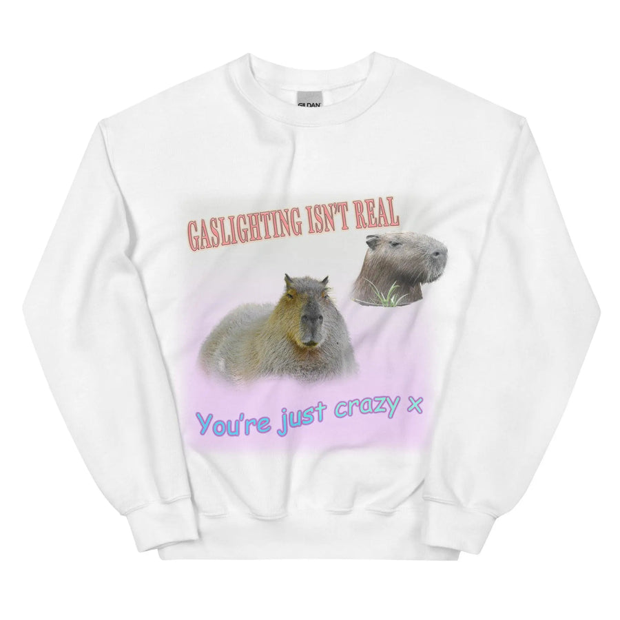 Gaslighting Isn't Real Sweatshirt - Orbital Clothing