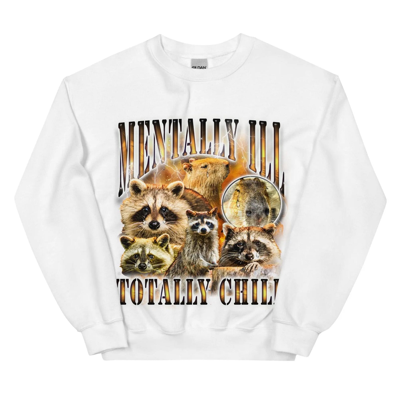 Mentally Ill Totally Chill Sweatshirt - Orbital Clothing