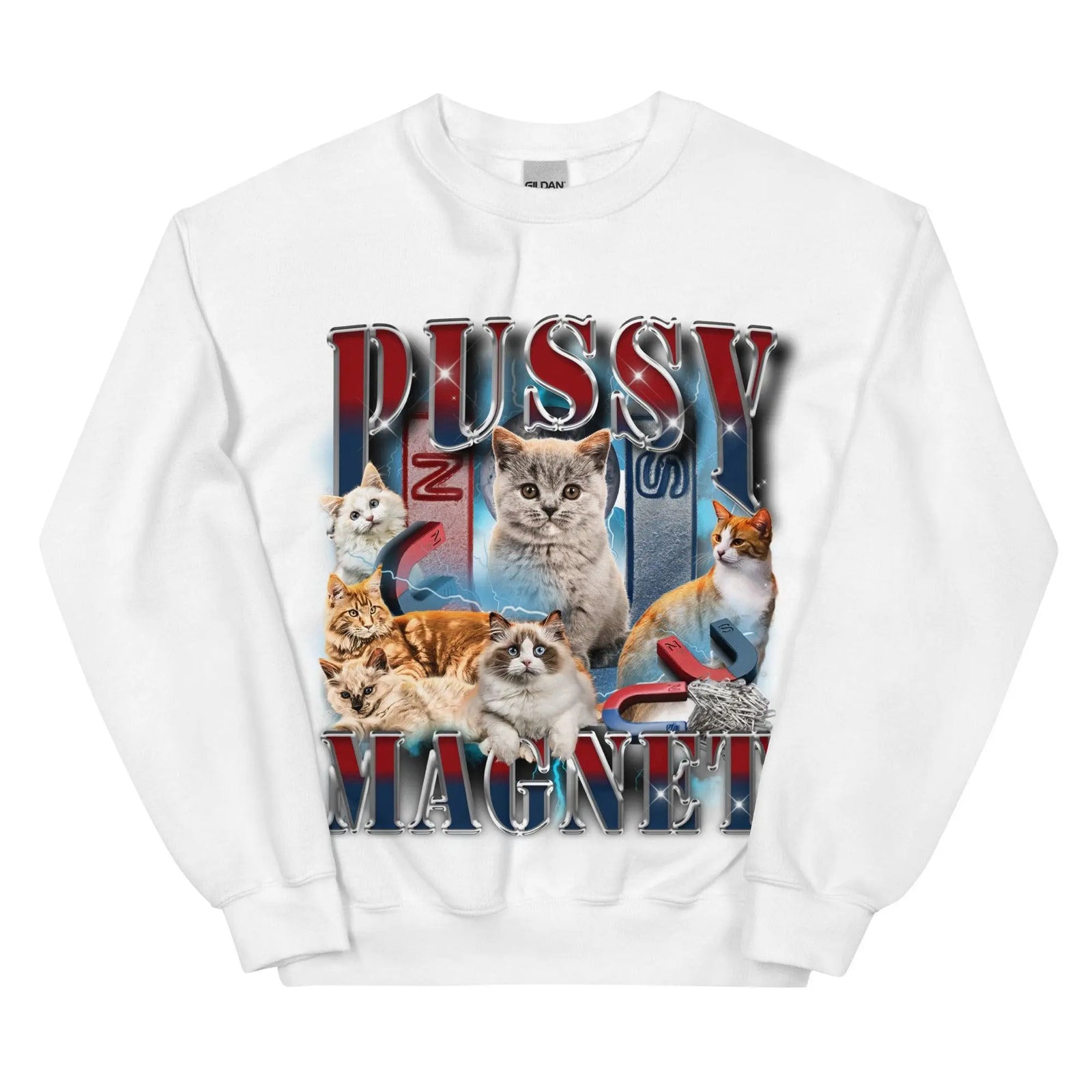 Pussy Magnet Sweatshirt - Orbital Clothing