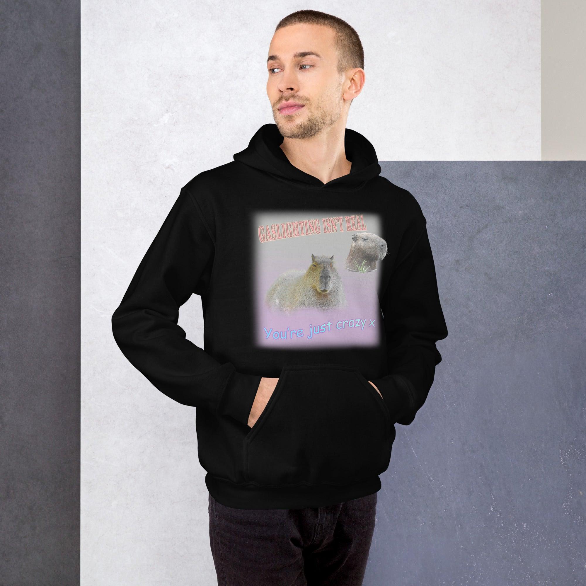 Gaslighting isn't Real Hoodie - Orbital Clothing