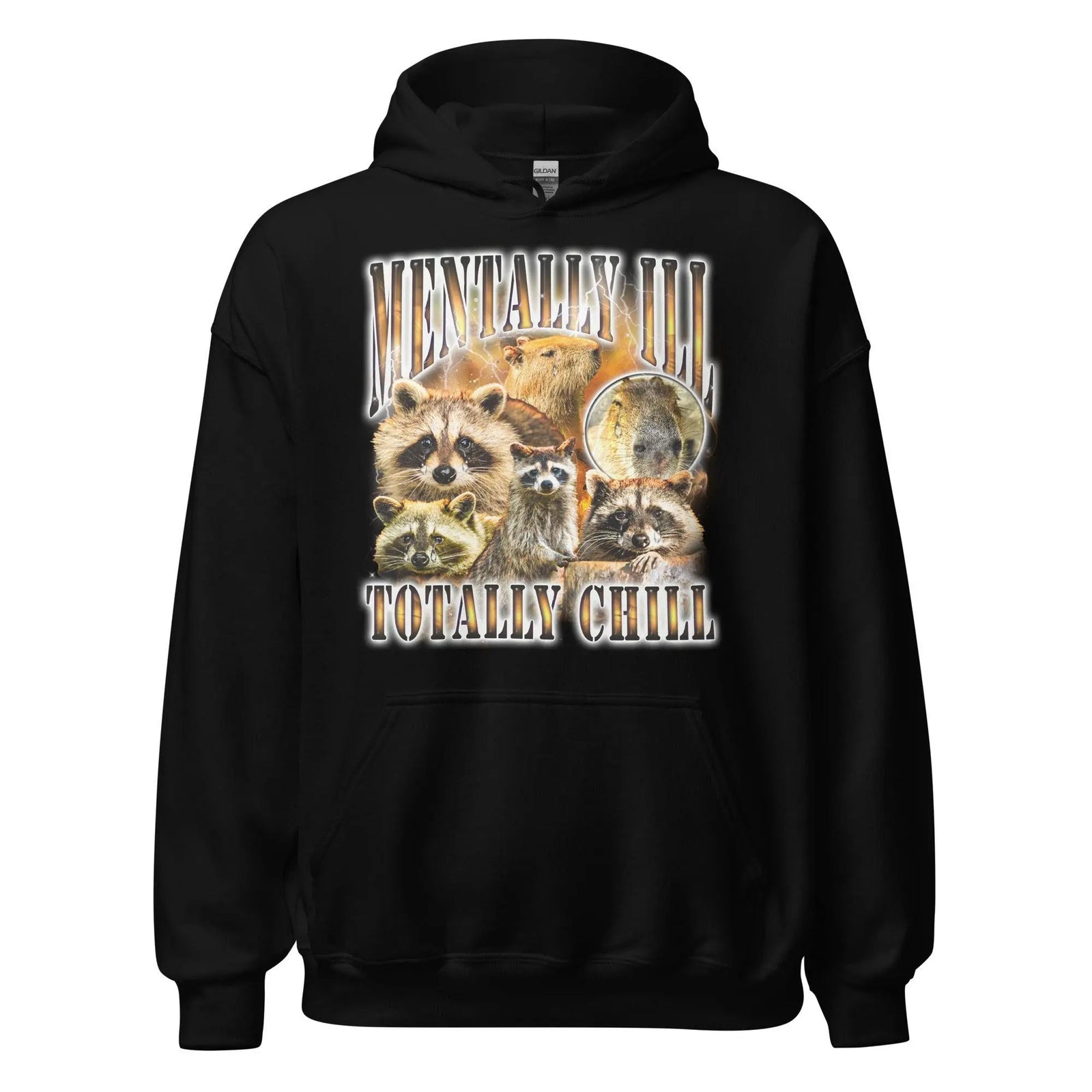 Mentally Ill Totally Chill Hoodie - Orbital Clothing