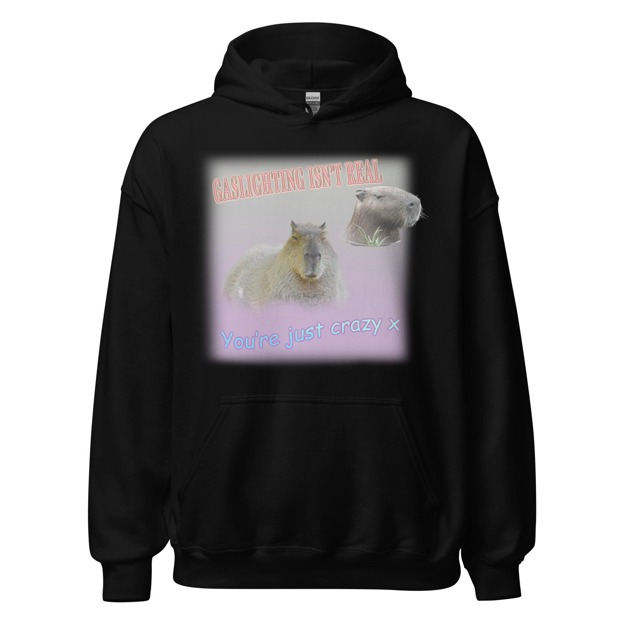 Gaslighting isn't Real Hoodie - Orbital Clothing
