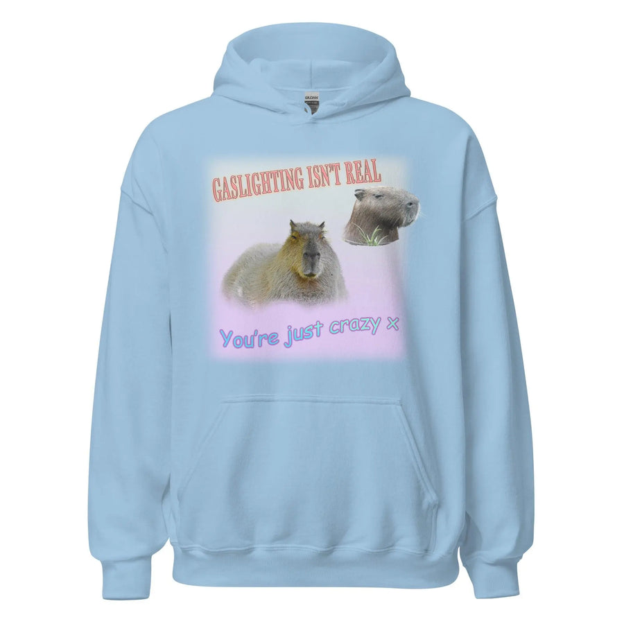Gaslighting isn't Real Hoodie - Orbital Clothing