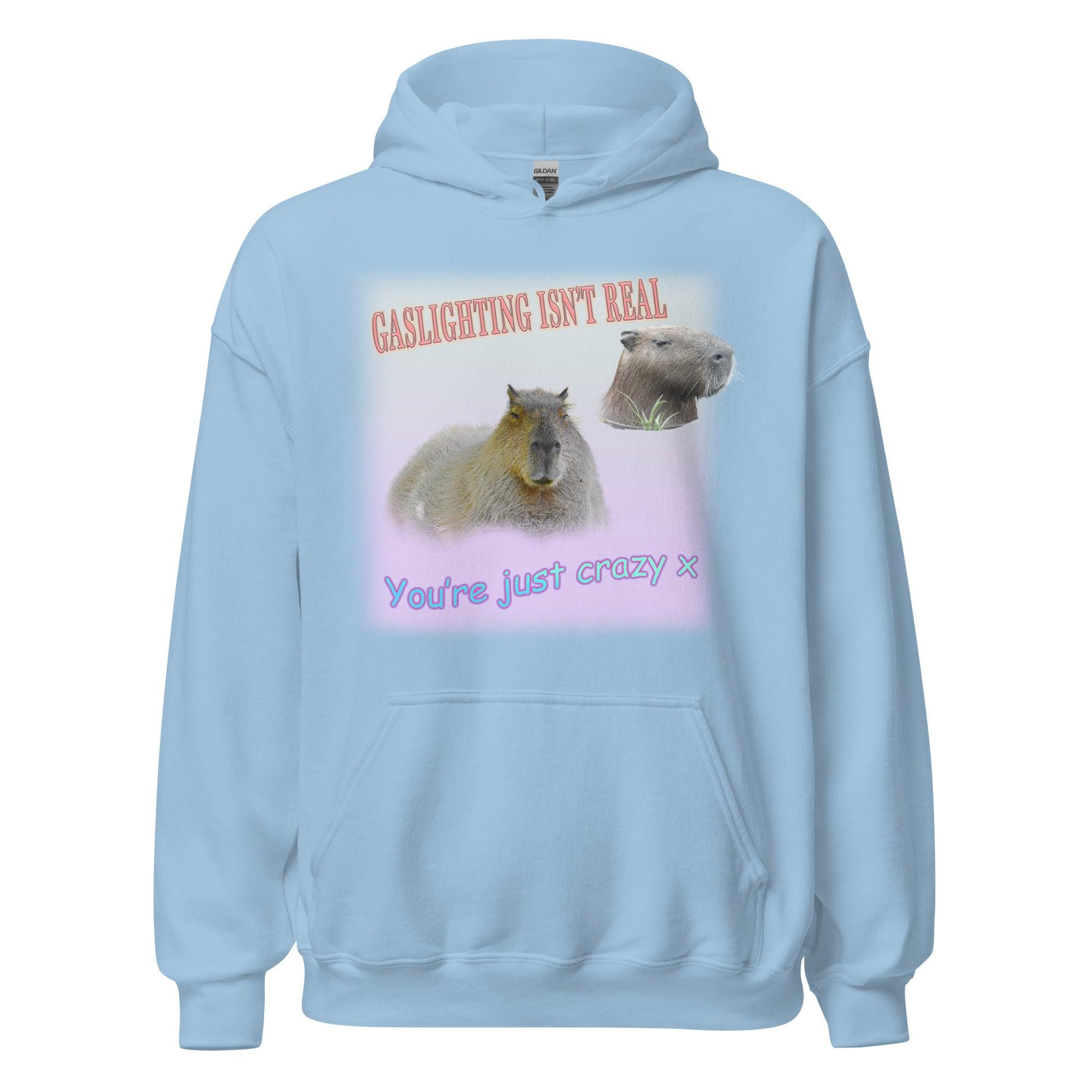 Gaslighting isn't Real Hoodie - Orbital Clothing