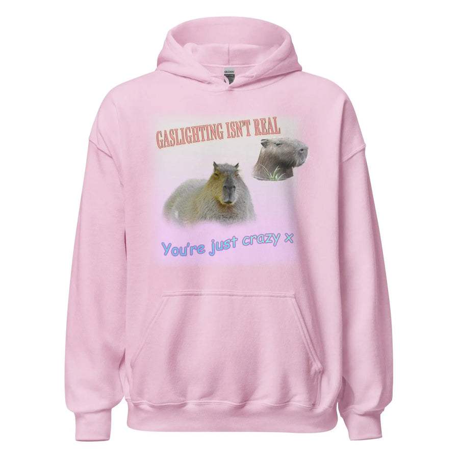 Gaslighting isn't Real Hoodie - Orbital Clothing