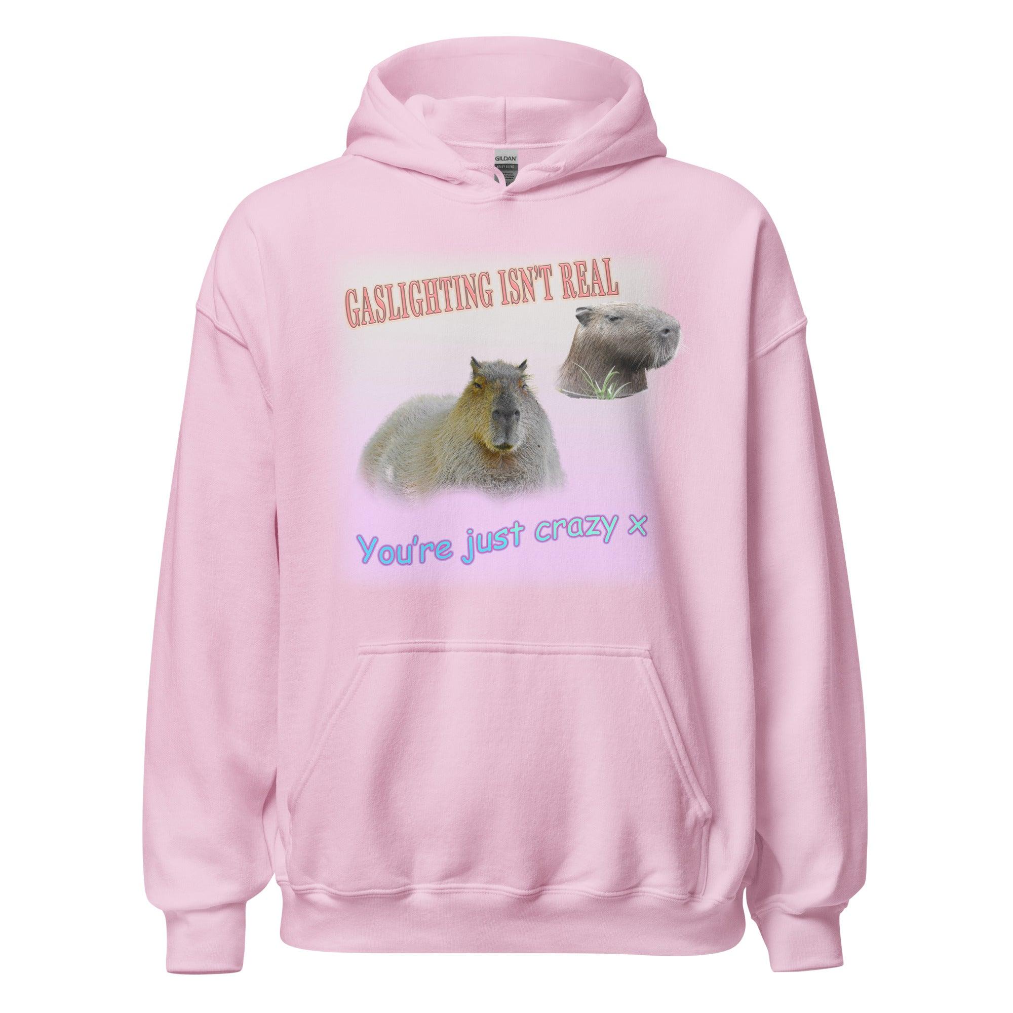 Gaslighting isn't Real Hoodie - Orbital Clothing