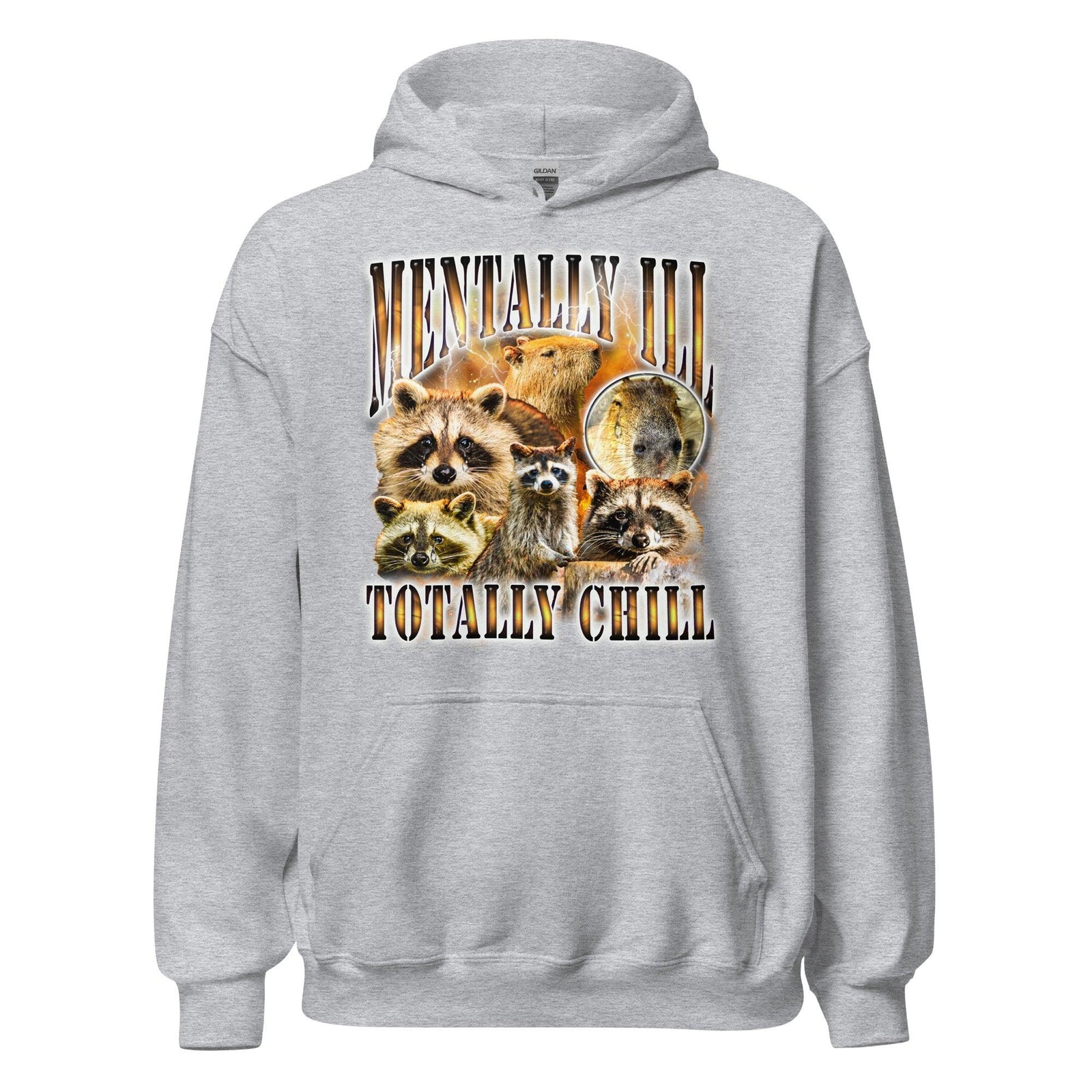 Mentally Ill Totally Chill Hoodie - Orbital Clothing