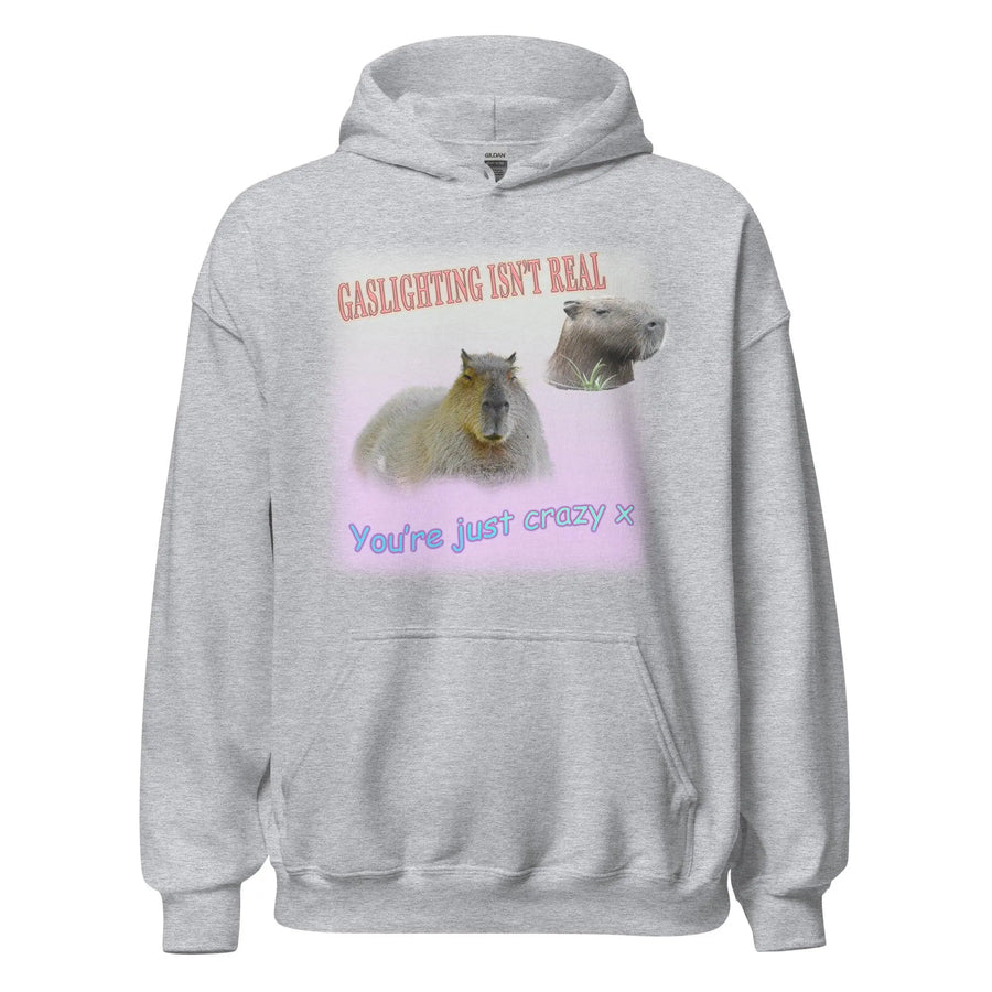 Gaslighting isn't Real Hoodie - Orbital Clothing