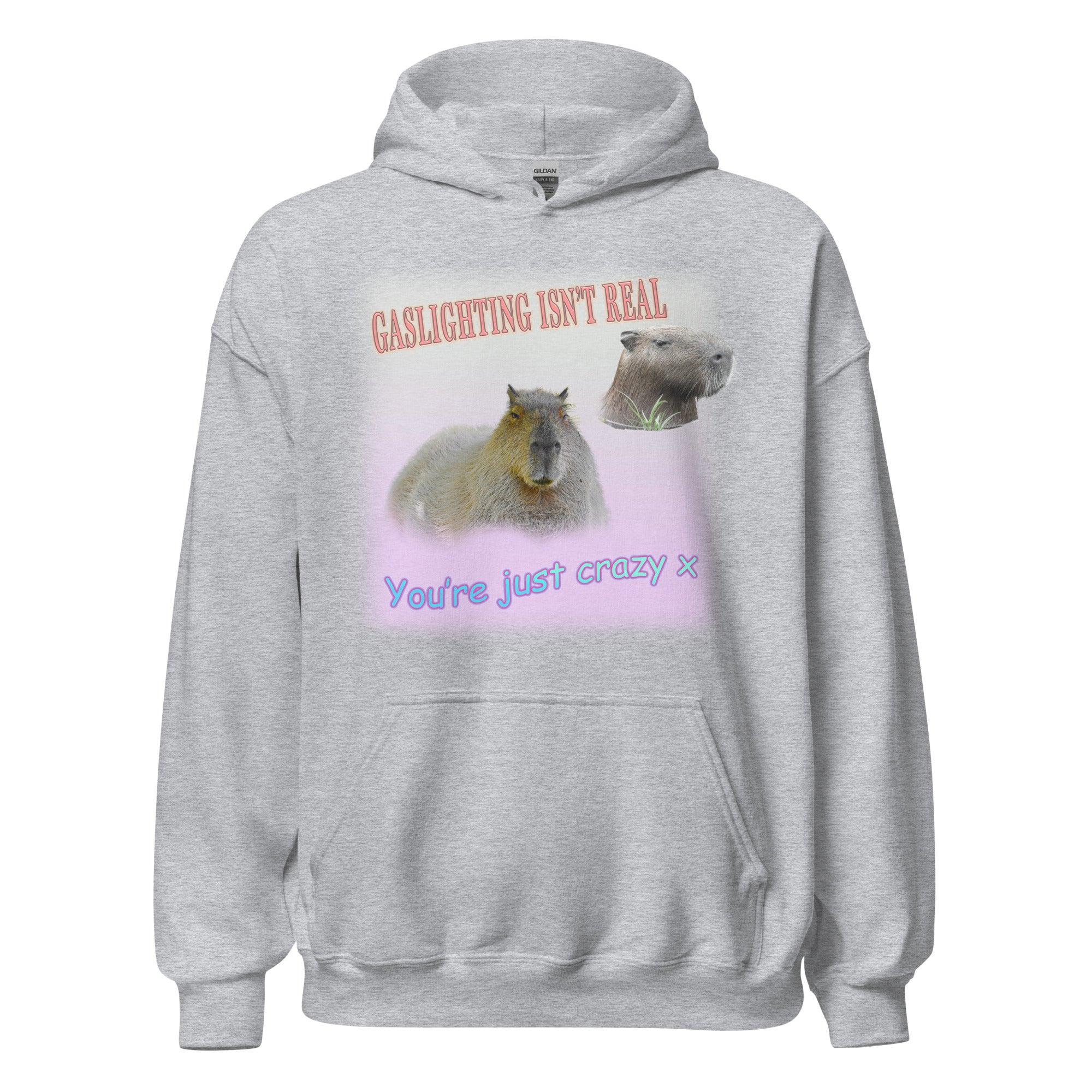 Gaslighting isn't Real Hoodie - Orbital Clothing