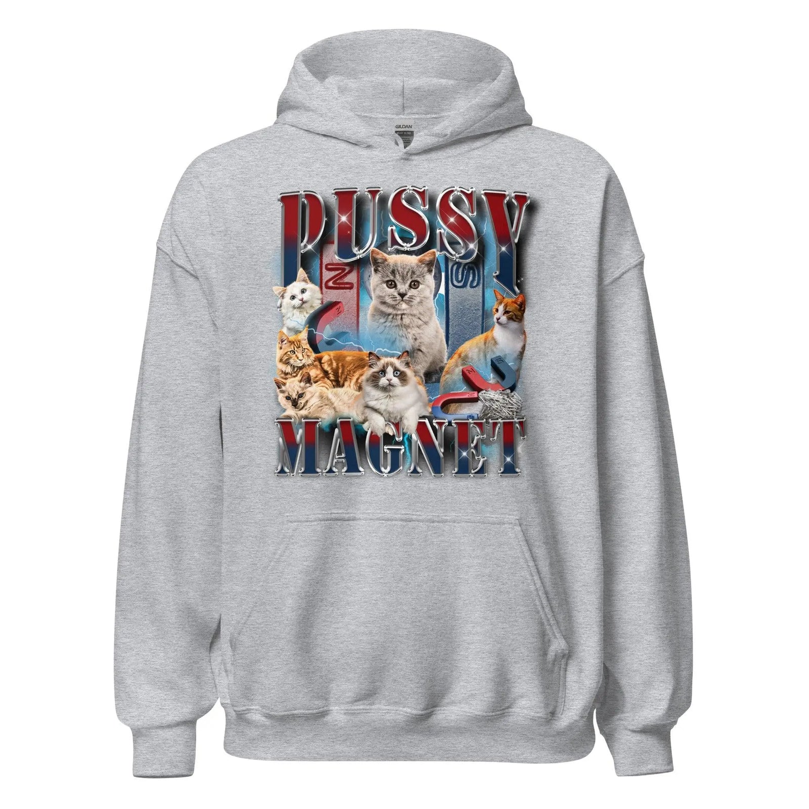 Pussy Magnet Hoodie - Orbital Clothing