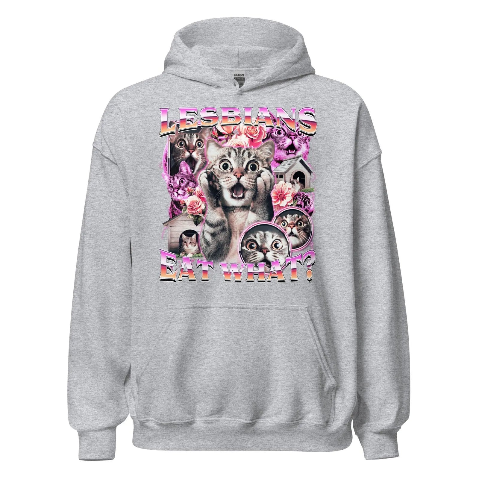 Lesbians Eat What Hoodie - Orbital Clothing