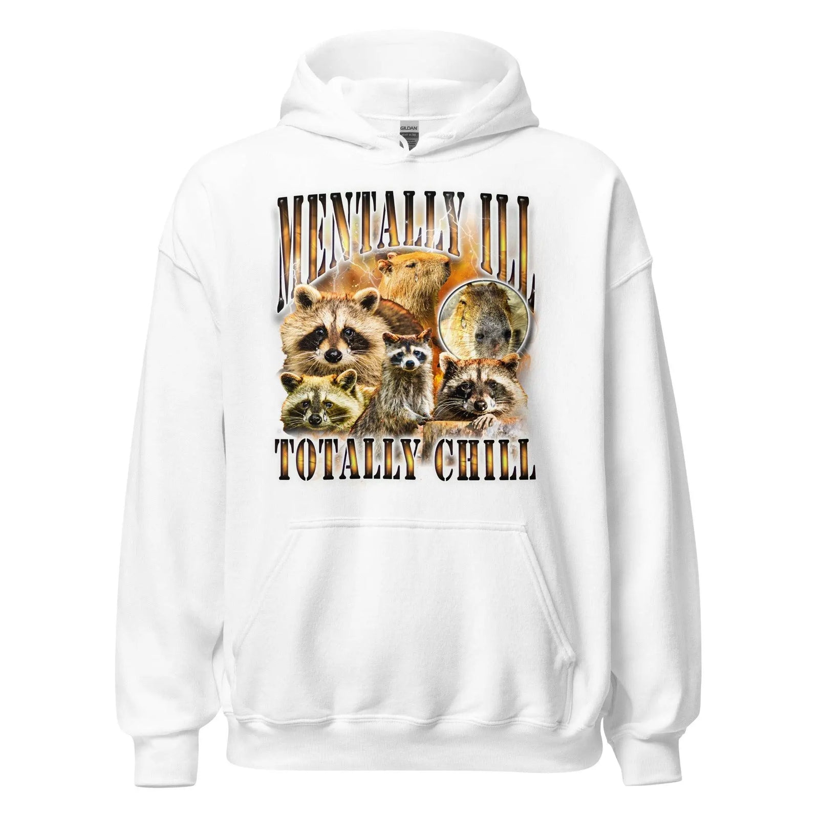 Mentally Ill Totally Chill Hoodie - Orbital Clothing