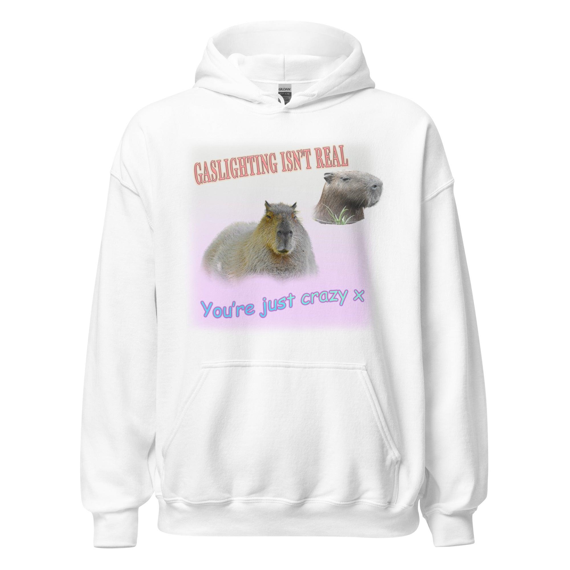 Gaslighting isn't Real Hoodie - Orbital Clothing