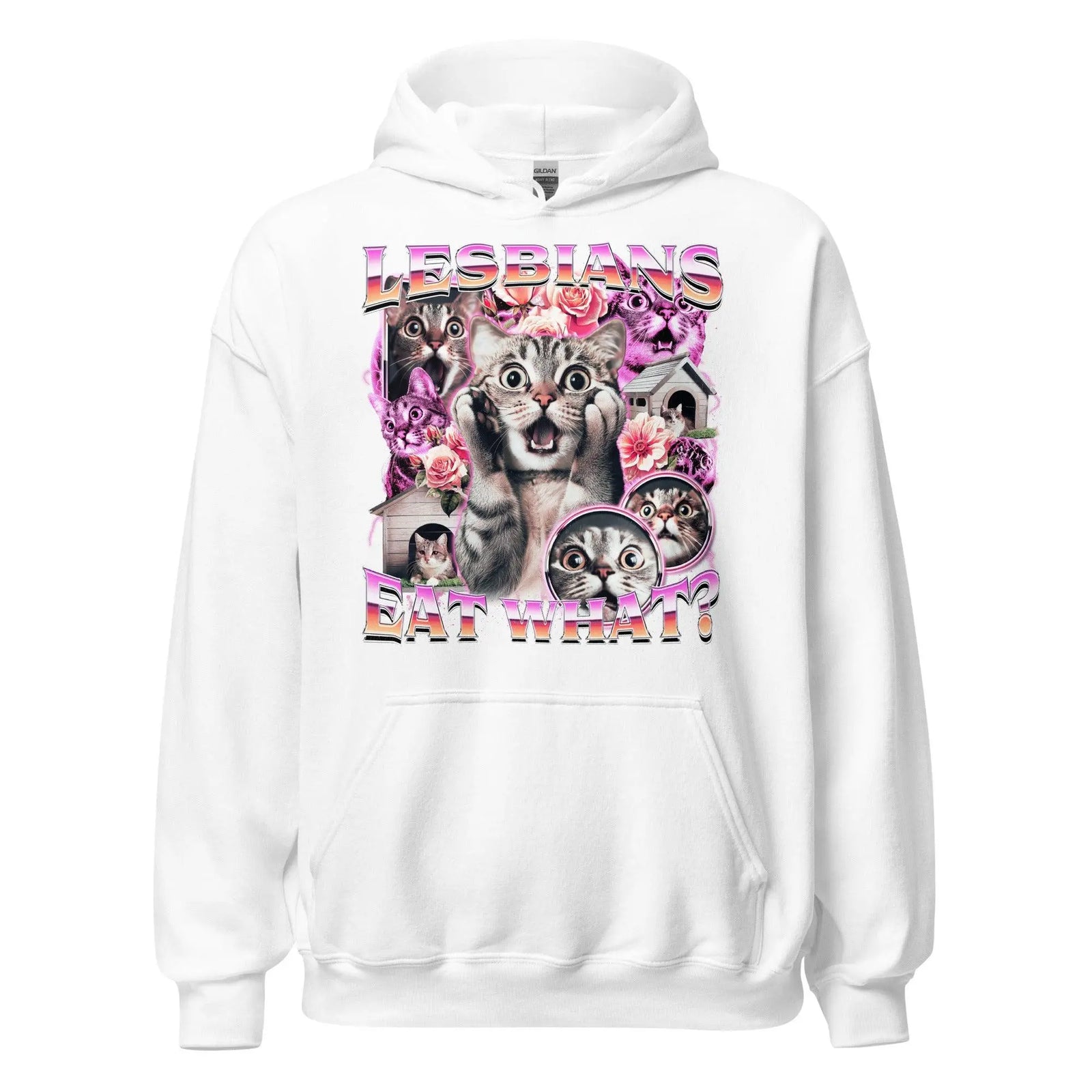 Lesbians Eat What Hoodie - Orbital Clothing