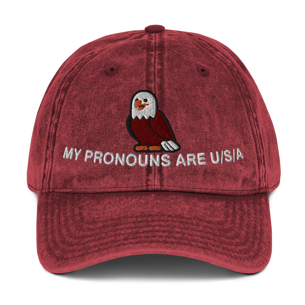 My Pronouns are USA Vintage Cotton Twill Cap