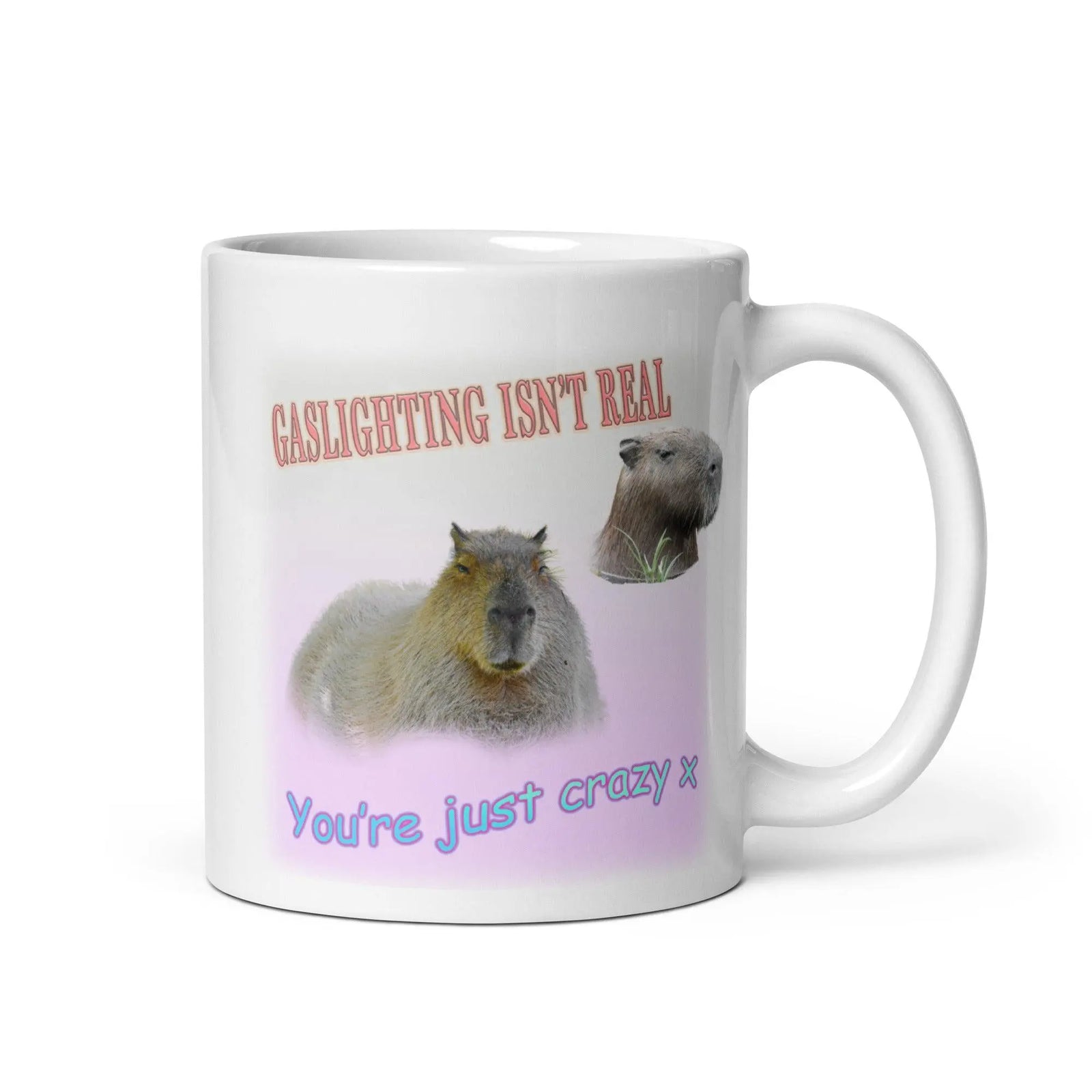 Gaslighting isn't Real White glossy mug - Orbital Clothing