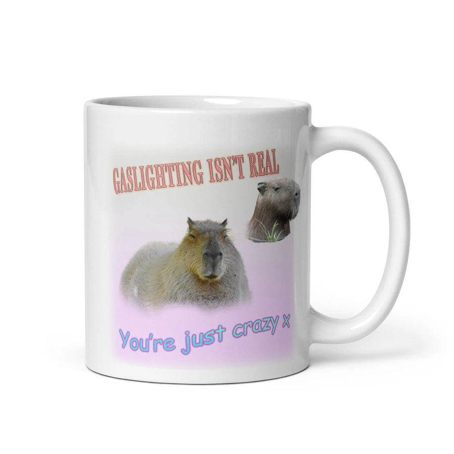 Gaslighting isn't Real White glossy mug - Orbital Clothing