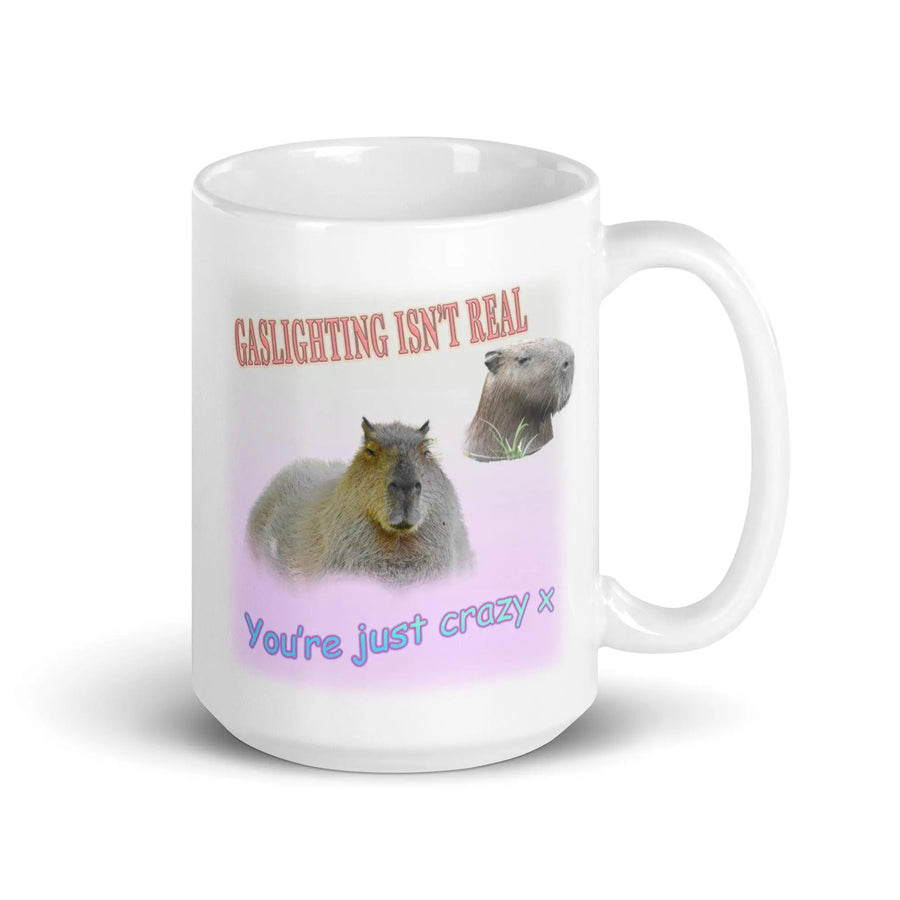 Gaslighting isn't Real White glossy mug - Orbital Clothing